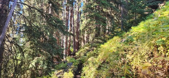 20250918_091356.jpg 20250918_091356.jpg