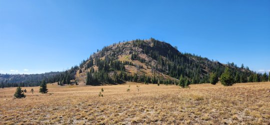 20250918_115705.jpg 20250918_115705.jpg