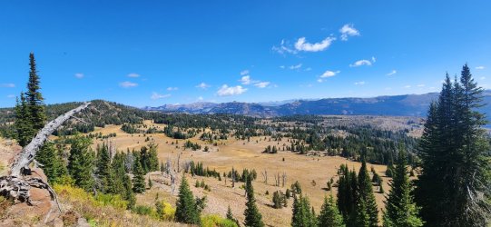 20250918_121316.jpg 20250918_121316.jpg