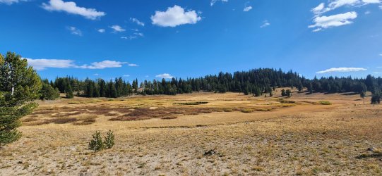 20250918_153548.jpg 20250918_153548.jpg