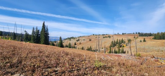 20250919_100709.jpg 20250919_100709.jpg