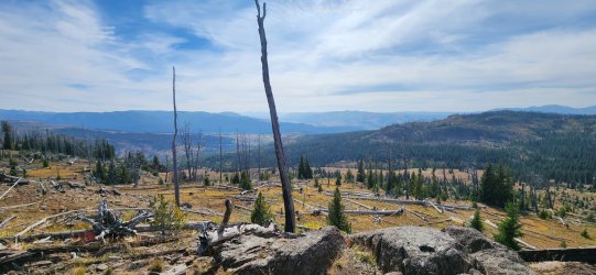 20250919_120937.jpg 20250919_120937.jpg