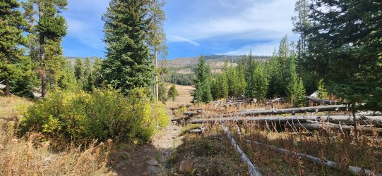 20250919_142655.jpg 20250919_142655.jpg