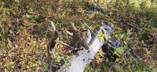 20250919_162621.jpg 20250919_162621.jpg