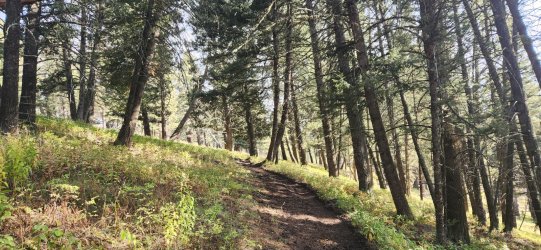 20250919_163215.jpg 20250919_163215.jpg