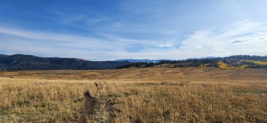 20250919_164819.jpg 20250919_164819.jpg