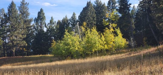 20250919_165928.jpg 20250919_165928.jpg