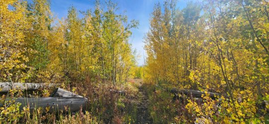 20250919_154220.jpg 20250919_154220.jpg