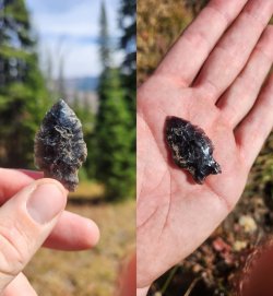 21379813_992473.jpg 21379813_992473.jpg