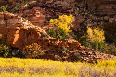 Fall Desert 2025-00021 (4).jpg