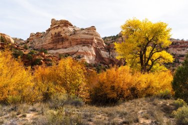 Fall Family Desert 2025-09931.jpg