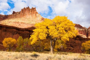 Fall Desert 2025-00021 (3).jpg