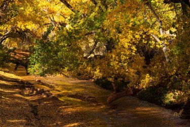 Fall Family Desert 2025-00055.jpg