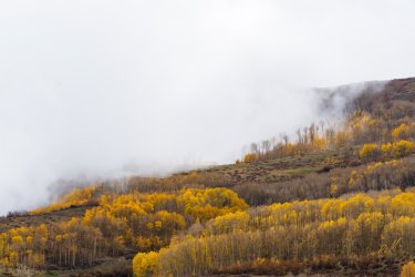 Fall Family Desert 2025-09731.jpg