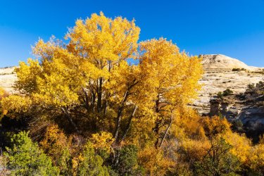 Fall Family Desert 2025-09812.jpg