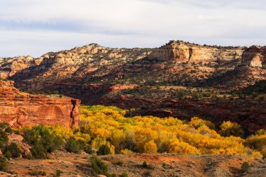 Fall Family Desert 2025-00039.jpg