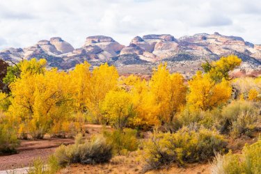 Fall Family Desert 2025-09655.jpg