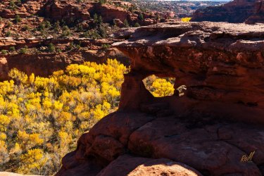 Fall Family Desert 2025-09834.jpg