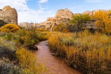 Fall Family Desert 2025-09637.jpg