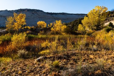 Fall Family Desert 2025-09856.jpg