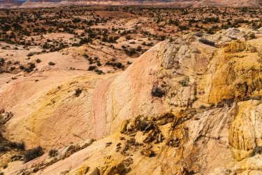 Fall Family Desert 2025-00034.jpg