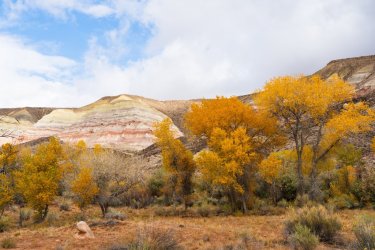Fall Family Desert 2025-09701.jpg