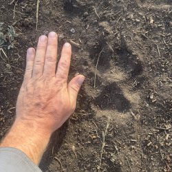 IMG_9192.JPG IMG_9192.JPG