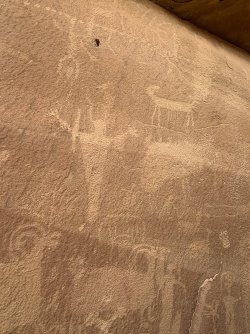 IMG_6548.JPG IMG_6548.JPG