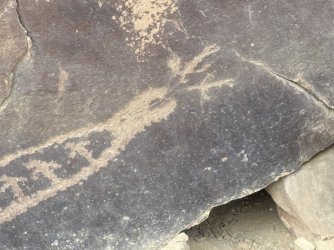 IMG_6561.JPG IMG_6561.JPG