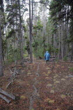 0O7A8101.JPG 0O7A8101.JPG