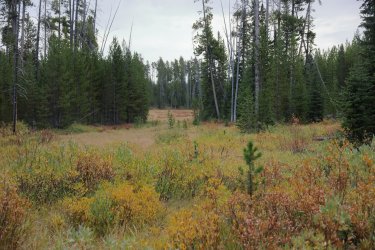 0O7A8105.JPG 0O7A8105.JPG