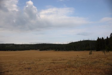 0O7A8108.JPG 0O7A8108.JPG