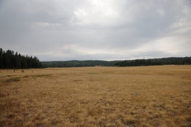 0O7A8110.JPG 0O7A8110.JPG