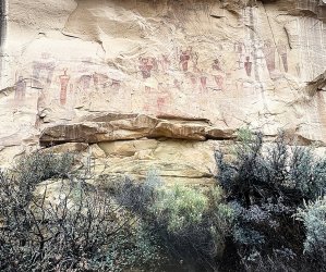 IMG_6569a.JPG IMG_6569a.JPG