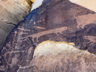 IMG_6707.JPG IMG_6707.JPG