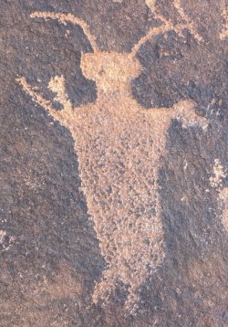 IMG_6712a.JPG IMG_6712a.JPG