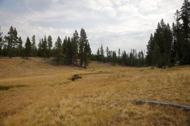 0O7A8117.JPG 0O7A8117.JPG