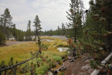 0O7A8120.JPG 0O7A8120.JPG