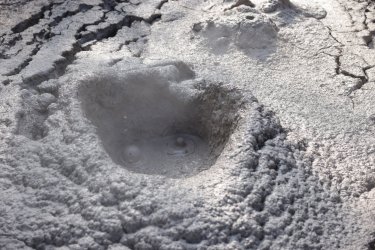 0O7A8127.JPG 0O7A8127.JPG