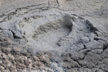 0O7A8132.JPG 0O7A8132.JPG