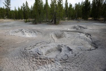 0O7A8133.JPG 0O7A8133.JPG