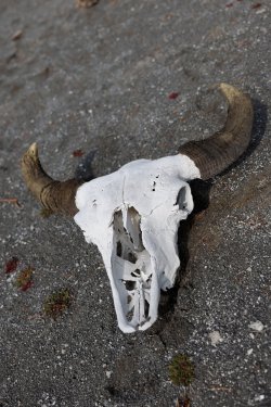 0O7A8148.JPG 0O7A8148.JPG