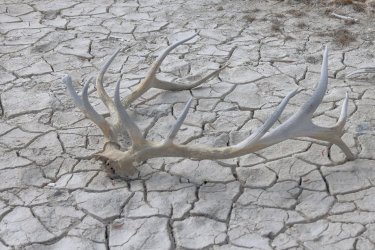 0O7A8174.JPG 0O7A8174.JPG