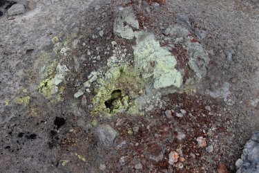 0O7A8202A.jpg 0O7A8202A.jpg