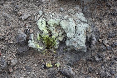 0O7A8203A.jpg 0O7A8203A.jpg