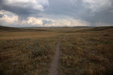 0O7A8283.JPG 0O7A8283.JPG