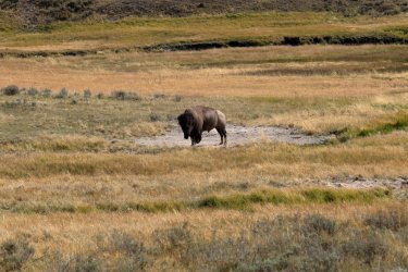 0O7A8304.JPG 0O7A8304.JPG