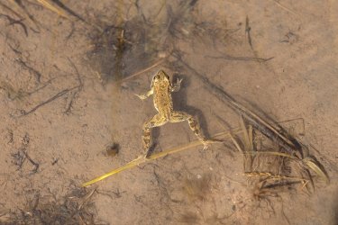 0O7A8307.JPG 0O7A8307.JPG