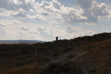 0O7A8310.JPG 0O7A8310.JPG