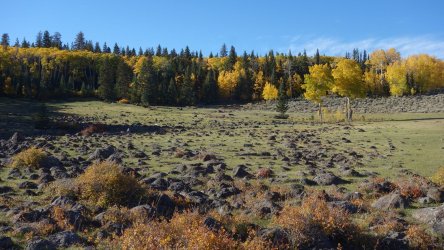 DSC00361_result.jpg DSC00361_result.jpg